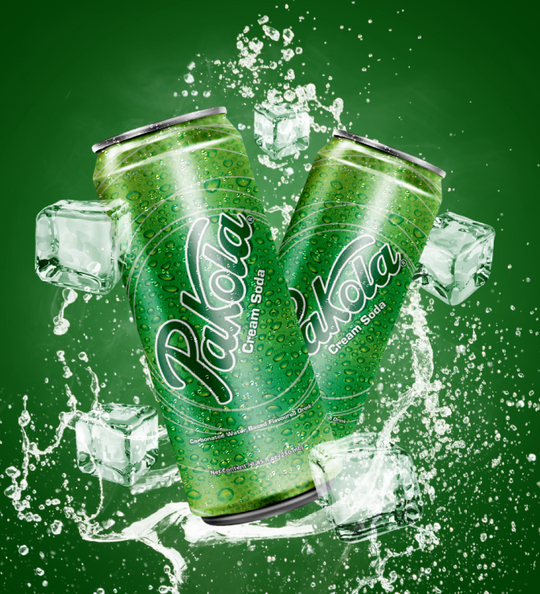 pakolaCan-grid-img_540x